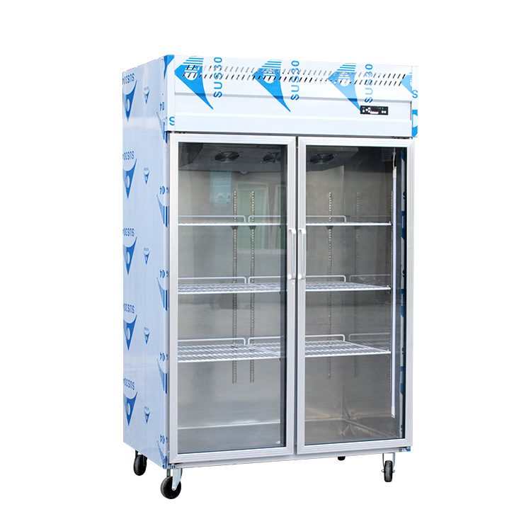 Upright Glass Door Freezer