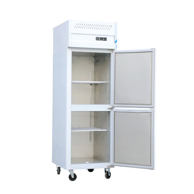 Commercial Standing Freezer with Defrost Function
