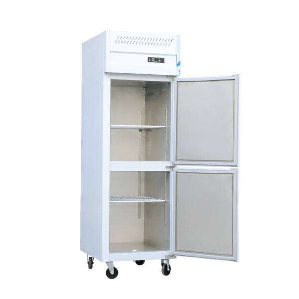 Commercial Standing Freezer with Defrost Function