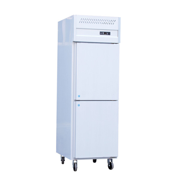 Commercial Digital Control Freezer