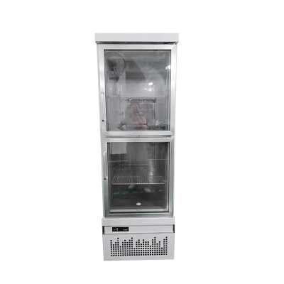 Bottom compressor upright commercial refrigerator