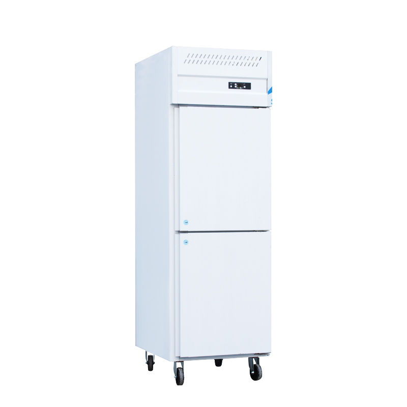 Middle East Commercial Insulated Food Trolley Market Surges Amid Rising Demand for Efficient Catering Solutions