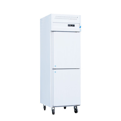 Premium Stainless Steel Freezer Cabinet with Dual Doors