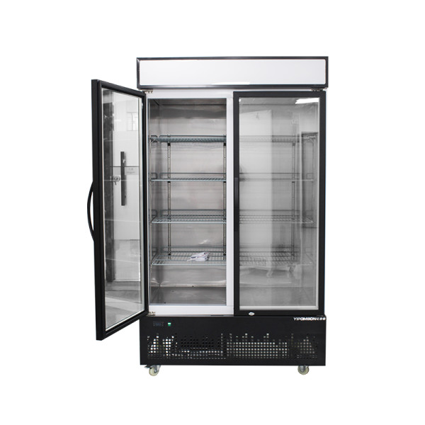 Double Glass Doors Transparent Refrigerator