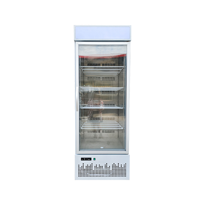 Revolutionizing Retail: Southeast Asia Embraces Advanced Double-Door Frost-Free Refrigerated Display Cabinets
