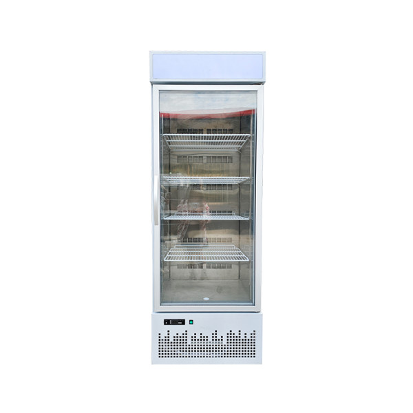 Outdoor retail store ice cream display refrigerator