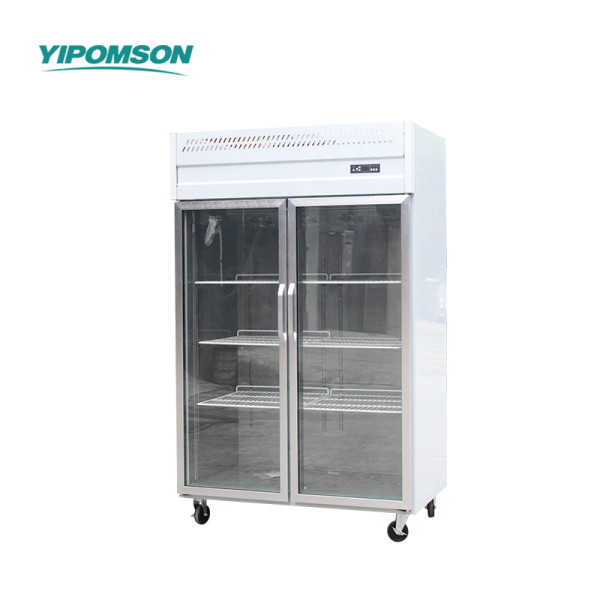 YIPOMSON 2-Door Commercial Glass Display Refrigerator