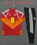 2026 Wales High Quality Kids Half Pull Tracksuit
