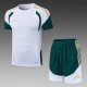 2026 AD White High Quality Player Version Training Short Suit (球员套装)