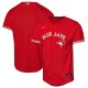 2026 MLB Toronto Blue Jays New Pattern Jersey