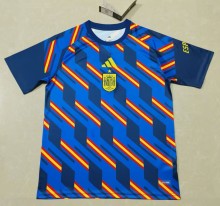 2026 Spain Blue Training shirts