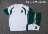 26-27 Italy High Quality Training Short Suit