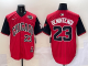 2025 MLB Chicago White Sox New Pattern Jersey