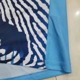 21-22 Napoli Commemorative Edition Sky Blue Fans Soccer Jersey