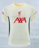 26-27 LIV Beige Player Version Training shirts