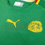 2002 Cameroon Home Retro Soccer Jersey