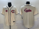 2025 MLB Chicago Cubs New Pattern Jersey