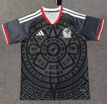 2026 Mexico Black Special Edition Fans Soccer Jersey