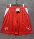 2026 Switzerland Home Shorts Pants