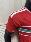 2026 Wales Home Player Version Soccer Jersey