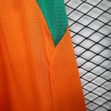 2026 Cote d'Ivoire Home Player Version Shorts Pants (球员短裤)