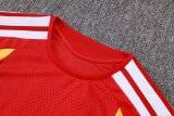 2026 Germany Red High Quality Player Version Training Short Suit (球员套装)