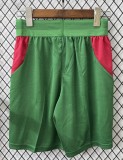 2026 Morocco Green Player Version Shorts Pants (球员短裤)