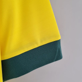 1970 Brazil Home Retro Soccer Jersey