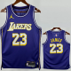 25-26 Lakers JAMES #23 Purple Top Quality Hot Pressing NBA Jersey (Trapeze Edition) 飞人版