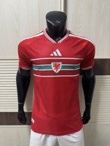 2026 Wales Home Player Version Soccer Jersey