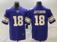 2025 NFL Minnesota Vikings New Pattern Jersey