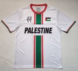 26-27 Palestine Special Edition Fans Soccer Jersey