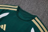 2026 Italy Green High Quality Player Version Training Short Suit (球员套装)