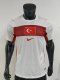 2026 World Cup Turkey Home Player Version Soccer Jersey