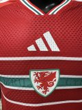 2026 Wales Home Player Version Soccer Jersey