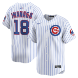 2026 MLB Chicago Cubs New Pattern Jersey