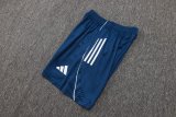 2025 AD Player Version Training Short Suit —Royal blue 宝蓝色