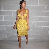 Sexy Leopard Print Crop Top with Bodycon Midi Skirt Suits AIL-074