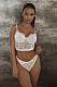 Sexy Eyelash Lace Hollow Out 2pcs Lingerie Set YQ-417