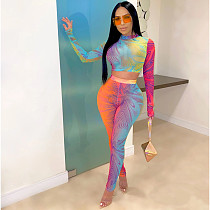 Women Printing Long Sleeves Crop Top With Bodycon Pants 2 Pieces CHY-1217