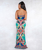 Hot Tropics Maxi Dress AIL-072