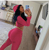 Autumn Long Sleeve Solid Color Dew-waist Hooded Two-piece Set GLS-8008