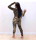 Sexy Leopard Print Long Sleeve T-shirt Slim Pants Set DM-8144