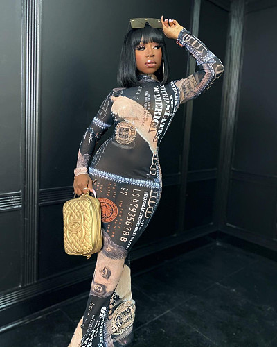 Dollar Print Long Sleeve Gauze See-through Bodycon Dress SHD-9504