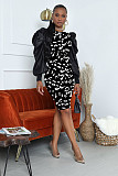 Sexy Leopard Print Round Neck Long Sleeve Slim Waist Dress WY-6680