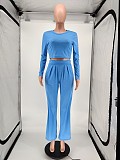 Solid-color Long Sleeve T-shirt Wide-leg Pants Two-piece Set WSM-5210