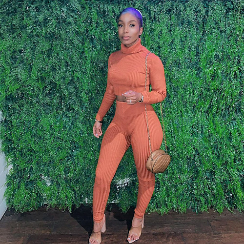 Turtleneck Long Sleeves Sweater Crop Top Pencil Pant Suit HMS-5408