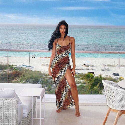 Tiger Leopard Print Sexy Slash Neck Sleeveless High Slit Dress LSL-6412