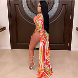 Sexy Print Bandage Monokini Beach Wear Swimming Suit 2Pieces CN-0095