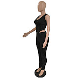 Hooded Backless Slim Fit Crop Top Sweatpant Two Piece Suit CN-0094